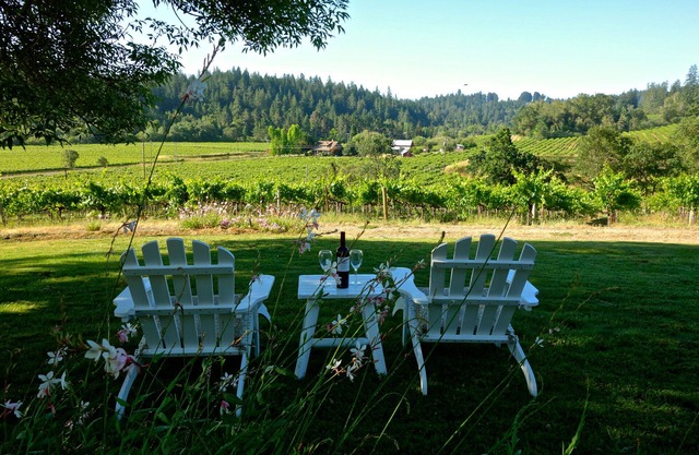 Vistas insuperables dentro y hacia fuera En esta Vineyard Estate 3-Acre