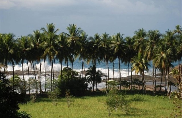 Up Close Ocean View W / Pool-Beach 600 pies de distancia-2nd Flr Estudio