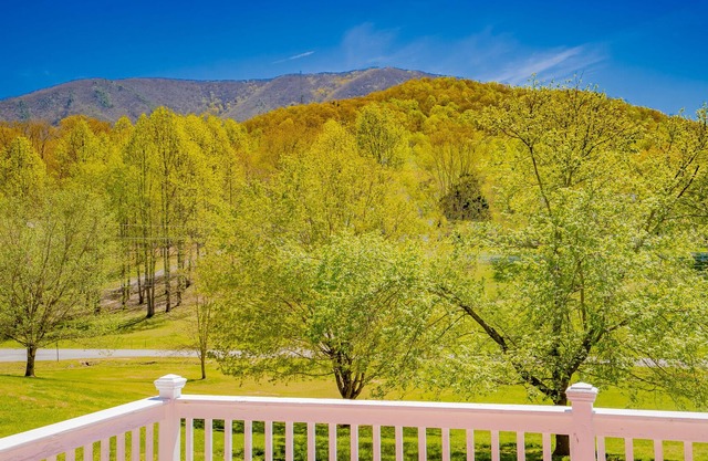 Valley High Comfort: Mtn Views, Honeymoon, Game Room, large yard, close to Attractions!