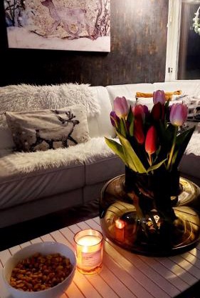 Vasko Luxurious Suites, Firefox