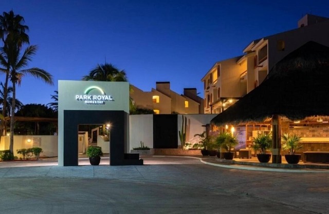 Vibrant Studio in San José del Cabo