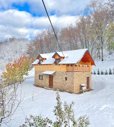 Vikend kuca pod lipom