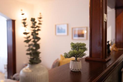 Vila Bonsai Golija