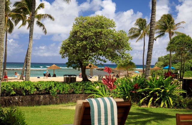Turtle Bay Studio Villa 20 metros de la playa de arena! Vistas a la playa y al mar
