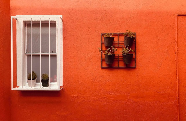 Villa Colonial Centro de Coyoacan casa para 12 personas ambiente Familiar