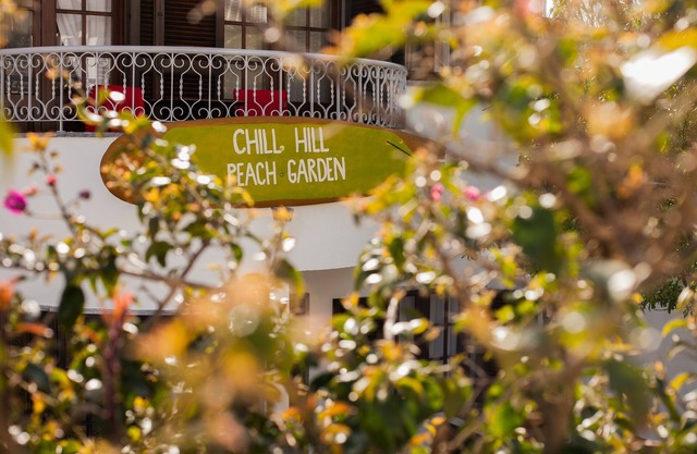 Villa: Ericeira Chill Hill Hostel & Private Rooms - Peach Garden