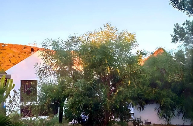 Chalet en caños de Meca a 400 m de la Playa