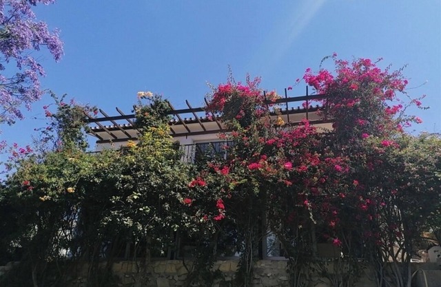 Villa Privée Avec Jardin Luxuriant et Piscine