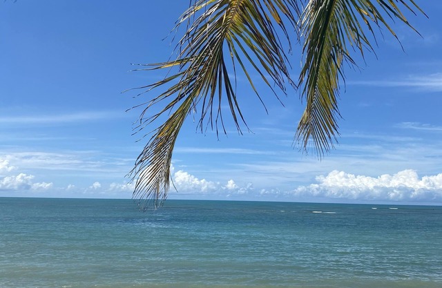 Villa taina - 8 oceanfront suites