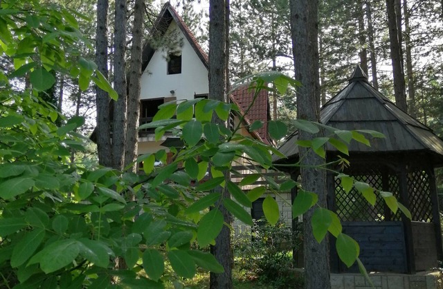 Villa Vera una casa acogedora en las montañas
