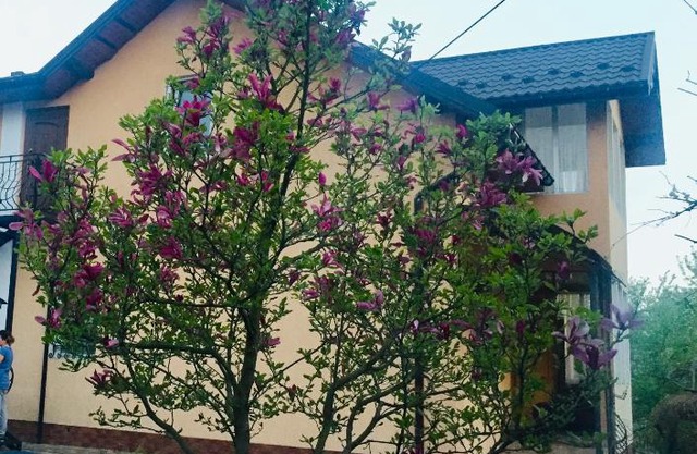 Villa Yaryna