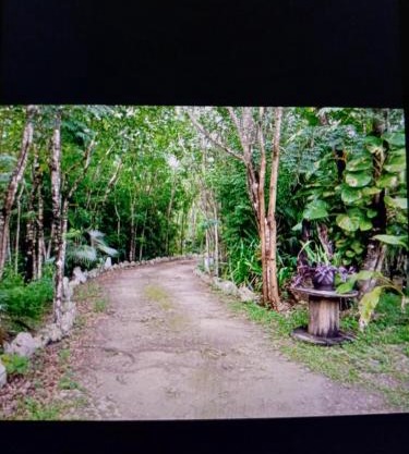 Villas Colibríes