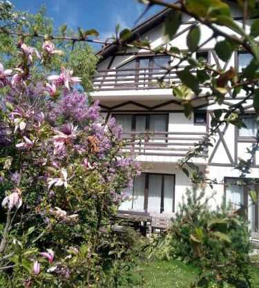 Vintage House Busteni