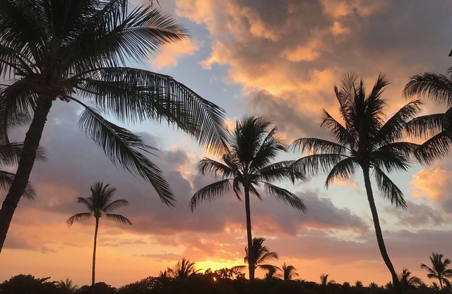 A201 WOW! ¡PARAÍSO HAWAIANO! Gran vista - Remodelado - LUJO 2 BDRM - Cerca de la playa