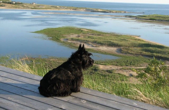 A pie de la Bahía + Hilltop Bahía, Puerto, Marsh Views!