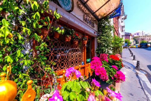 Walnut Shell Hotel