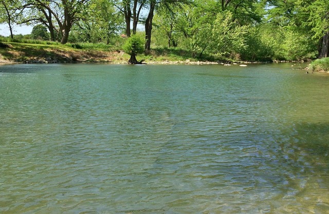 Recién renovado precioso 2/2 condominio en el río Guadalupe en New Braunfels