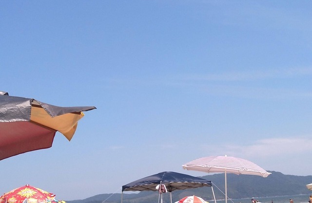 ¡Vamos a la playa y más!