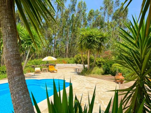 Wellbeing guesthouse Casa é Connosco