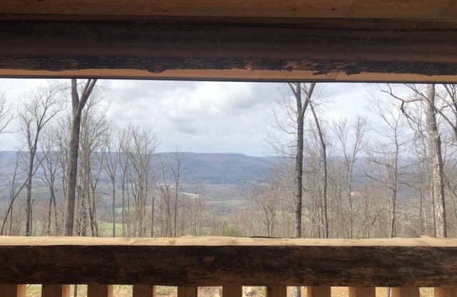 Wendell Tree Top View