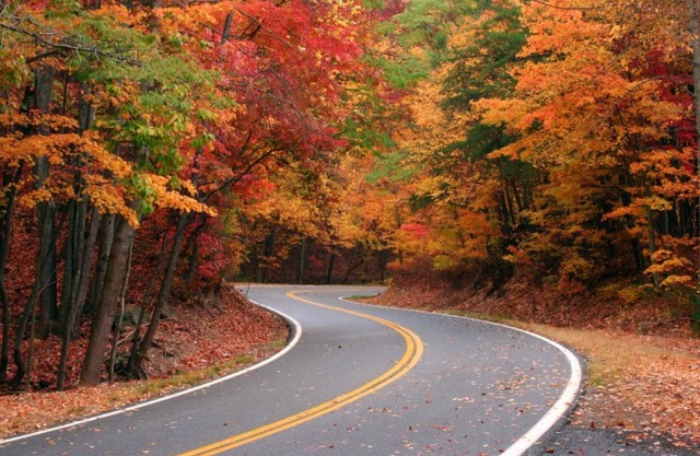 5 estrellas Westgate Smokey MTN Resort. Belleza de otoño en los Smokeys. 10 / 19-10 / 26/19.
