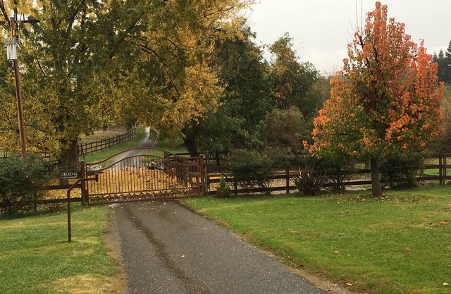 Whirlawind Horse Ranch ¡Se admiten mascotas!
