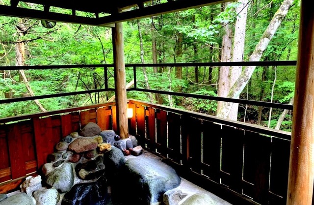 Whole building reserved Forest bath and outdoor s / Nikko Tochigi