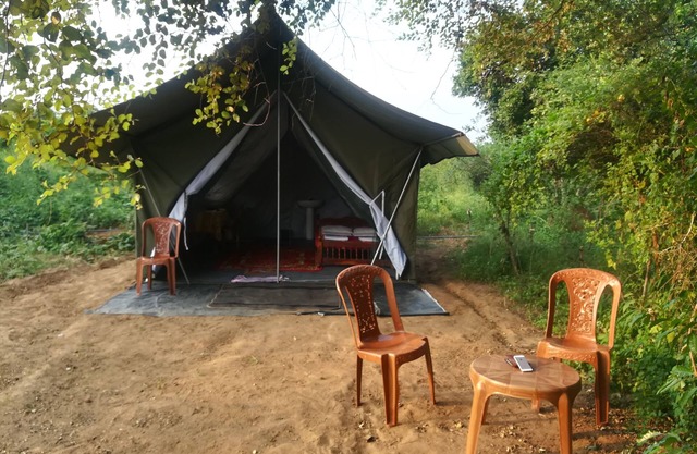 Wild eco safari