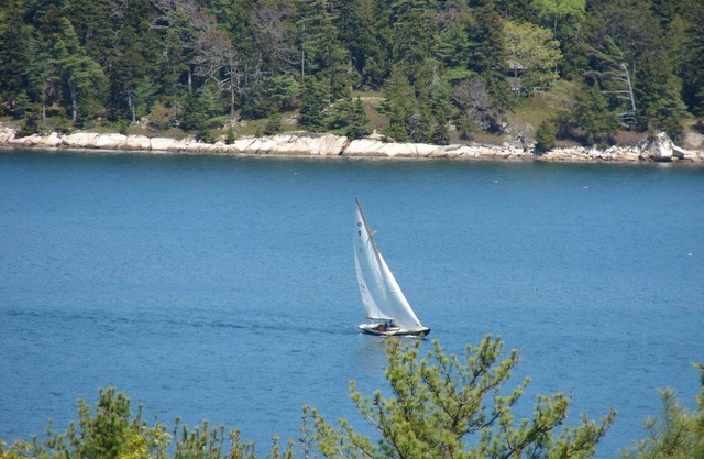 Maravillosas vistas de Somes Sound y Sargent Mountain