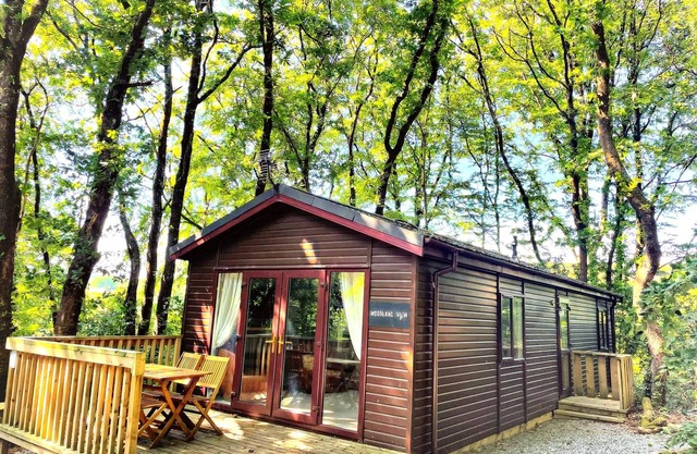 Woodland View -Hot Tub-Tenby-Carmarthen-St despeja