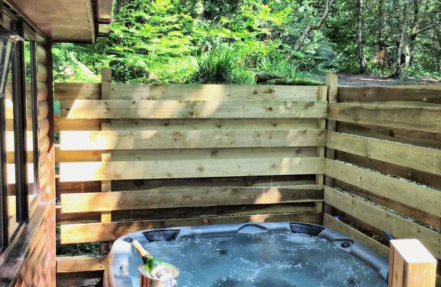 Wren 21-Hot Tub-Woodland Lodges-Tenby-Camarthenshire