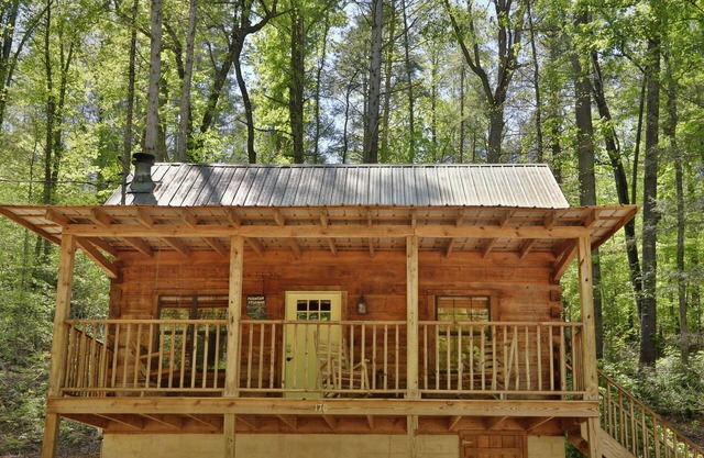 Yellow Door Cabin: una escapada a la cabina en el corazón de Townsend