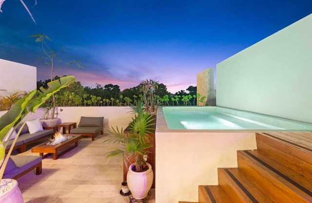 Luxury penthouse-private rooftop and plunge pool