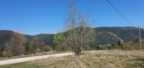 Zlatiborska Brvnara Rebic Mountain House