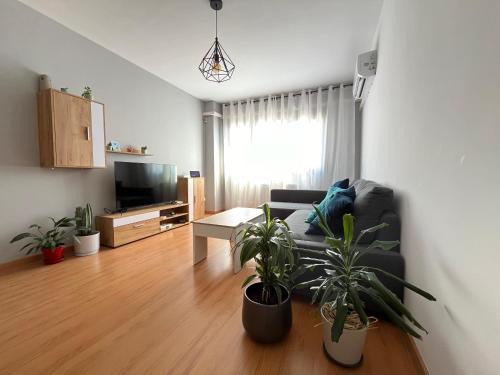 Daimiel Apartamento | Ánade Real Guest House