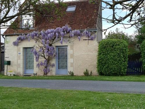 Luzille Casa | Évasion à Luzillé : Havre de Paix avec Jardin Privatif, proche Chenonceau et Beauval - FR-1-381-303