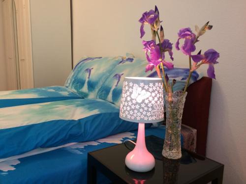 Angyalfold Apartamento | Írisz Apartman Budapest