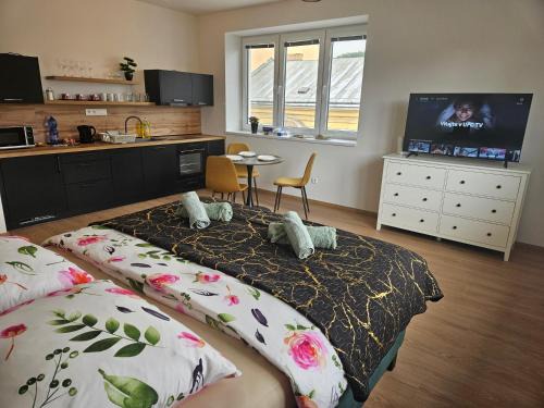 Zilina Apartamento | Úplne nový Apartmán Kvetinka v centre Žiliny