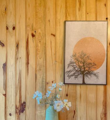 Da Lat Apartamento | Đà Lạt 2019 homestay