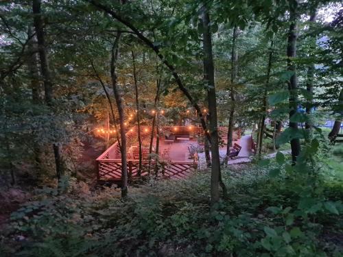 Mucharz Casa | ŚWINNA PORĘBA