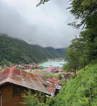 Uzungol Apartamento | Şahin Home