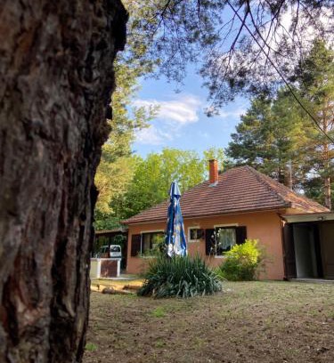 Banatski Karlovac Casa | Šumska kuća Juga Kovačević