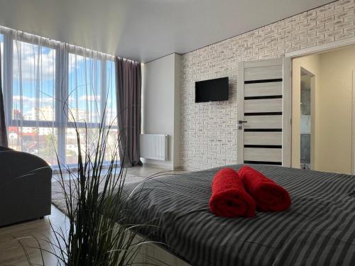 Ternopil Apartamento | Апартаменти Замонастирська