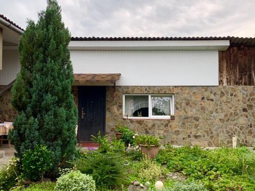 Svalyava Apartamento | Апартаменты PAROSTKI