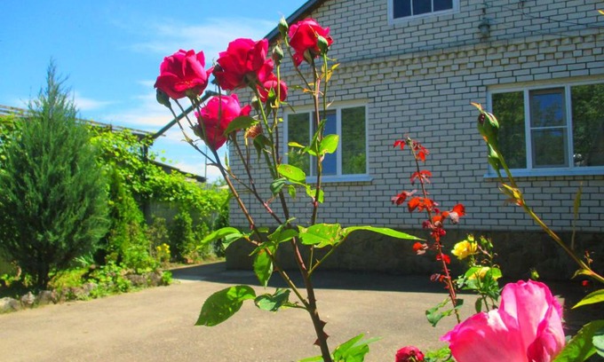 Kamennomostskiy Casa | Гостевой дом Мелисса