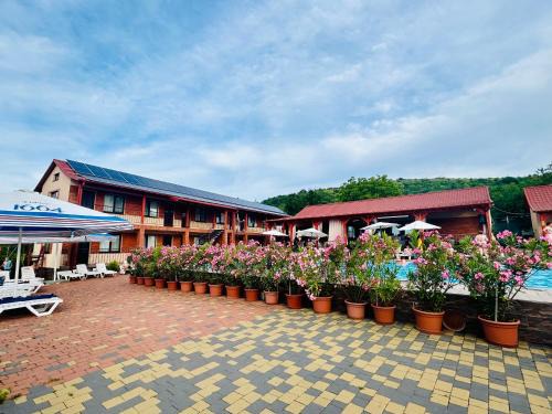 Transcarpathia Hotel | Гостинний дім Александрія