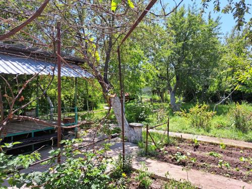 Chuy Province Casa | Дача Байтик
