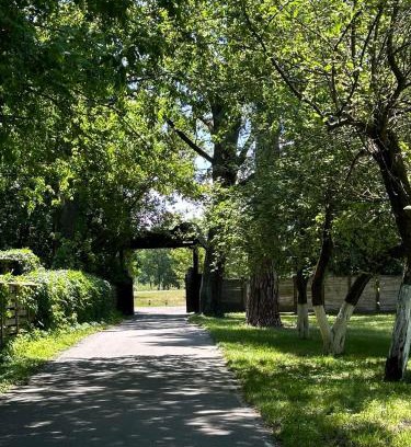 Central Ukraine Cabina | Домик в лесу