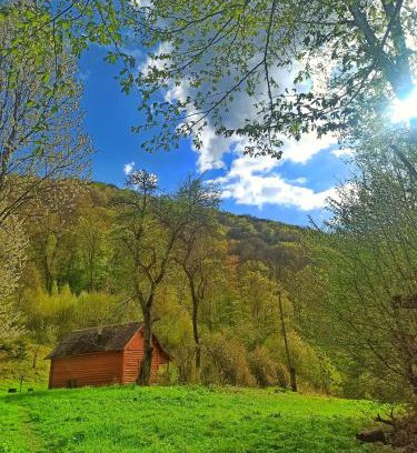Transcarpathia Casa | Еко Садиба Під Полониною
