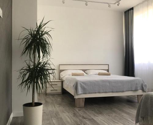 Ternopil Apartamento | Затишні та просторі апартаменти в новобудові